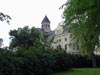 Wards, Trees, and Cupola